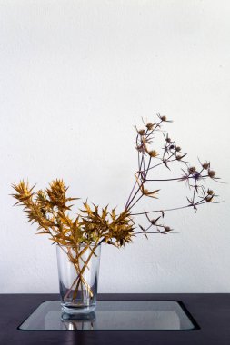 Dikenli Gürcü bitkiler buket tablodur. 