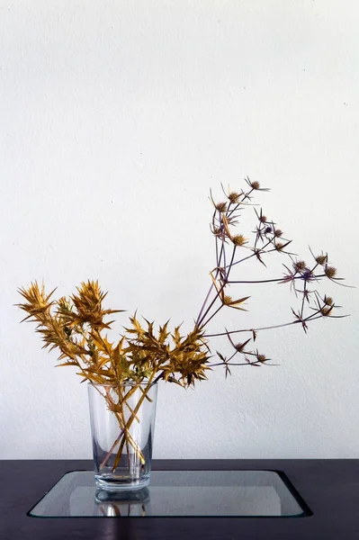 Dikenli Gürcü bitkiler buket tablodur. 