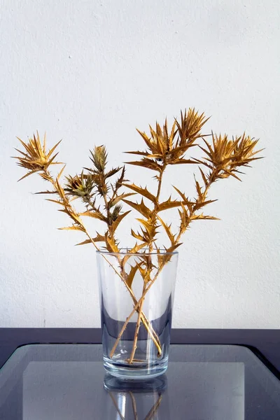 Dikenli Gürcü bitkiler buket tablodur.