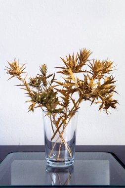 Dikenli Gürcü bitkiler buket tablodur.