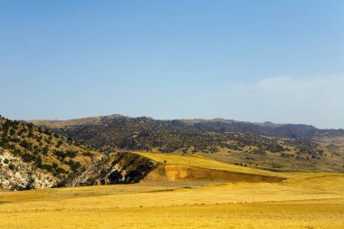Bir yaz gününde Türkiye'de tepelik bir manzara.