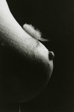 Güzel çıplak kadının meme ve kuş tüyü.