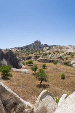 Arka planda dağda şehrin meyve bahçesi.