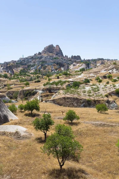 Giardino di frutta sullo sfondo della città sulla montagna . — Foto Stock