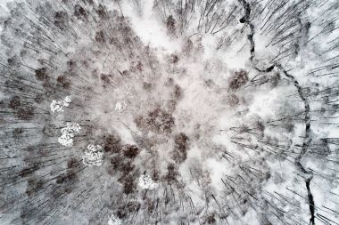 Hangi yalan ağaçta ile bir parkın içinden kışın nehir akar