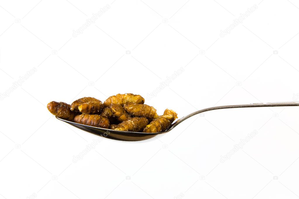 Silkworm fried with soy sauce on a spoon.