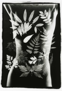 Çoklu pozlama: çıplak bir kız bir gövde ve yapraklar bitkiler.