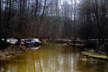 Bahar öğleden sonra parkta küçük bir nehir.