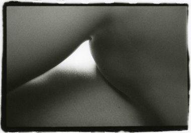 Tıraşlı bir dişi kasık kemiği yakından çekilir..