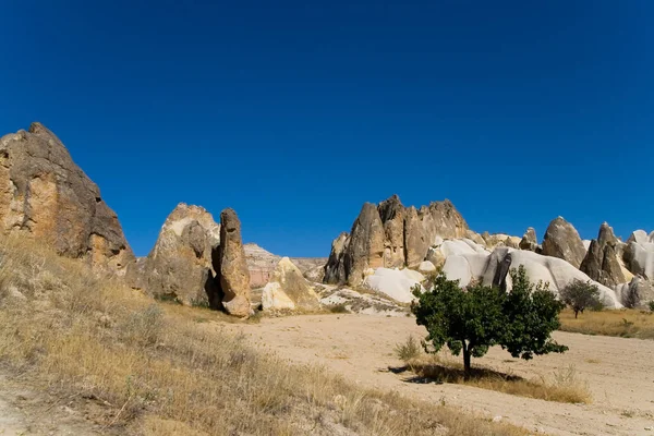 Árbol solitario en las tierras altas del desierto de Capadocia . — Foto de Stock