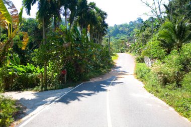 Katı bir iz çizgisi olan asfalt yolu.