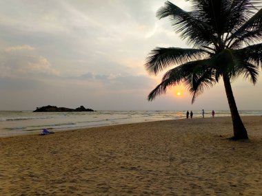 Sahilde gün batımında palmiye ağacının silueti..