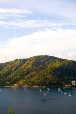 Yelkenleri açık yatlar körfezde..