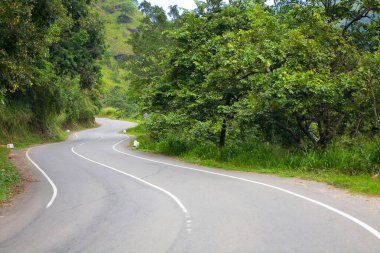 Kenarlarında işaretler ve bitkiler olan iki şeritli bir otomobil asfalt yolu. Aktarım.