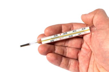 palmiye ve beyaz bir arka plan üzerinde tıbbi termometre