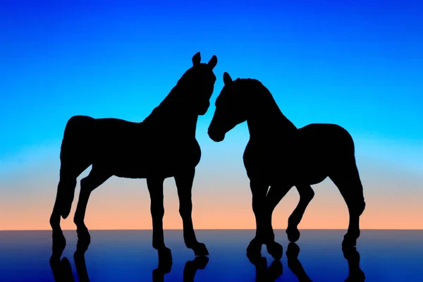 Pferde im Hintergrund der Morgendämmerung — Stockfoto