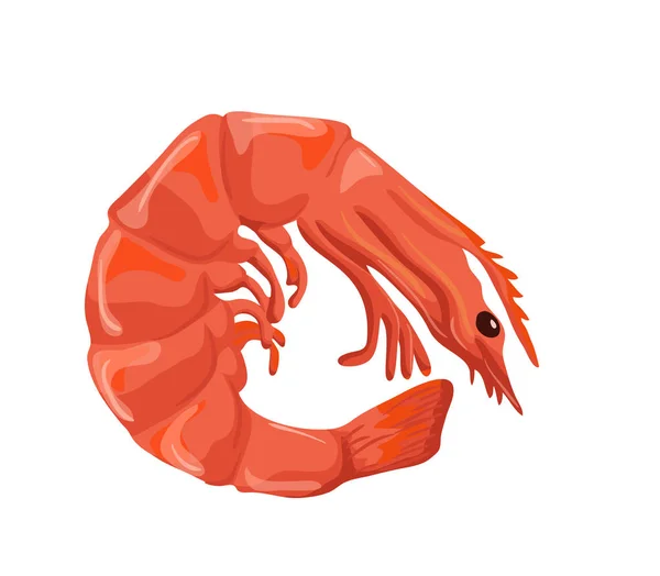 Icono de vector de camarones aislado, bosquejo dibujado a mano de camarones, plantilla para menú de mariscos, infografías de dieta saludable, pegatina, volante, paquete — Archivo Imágenes Vectoriales