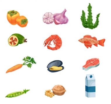 İyot gıda vektör çizim seti, tıp infographics şablon, tiroid veya gebelik diyet kavramı, Trabzon hurması, feijoa, deniz levreği, süt, havuç, sarımsak, ceviz, somon steak, bezelye, midye, karides, deniz yosunu