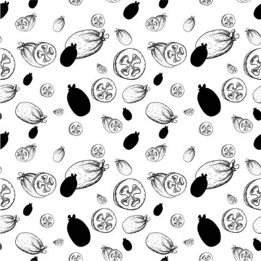 Yazdırma Feijoa vektör simgesi, tropikal egzotik yeşil meyve, şablon için menü, diyet infographics, etiket, broşür, el çizilmiş kroki