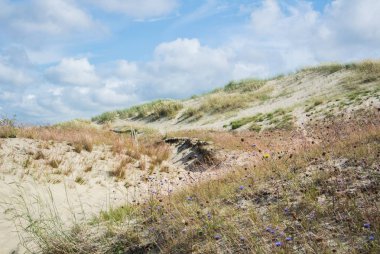 Kum ve çim tepeleri, Milli Parkı Curonian Spit, bulutlu gün Litvanya Kuru.