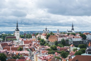 Eski Town Tallinn, Estonya çatılar üzerinden panoramik görünüm.