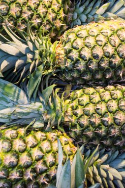 Madrid, İspanya pazarında taze ananas görmek.