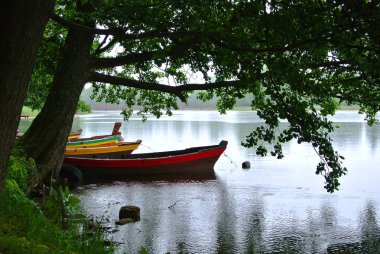 Trakai doğal park, bir göl, eski büyük ağaçlar ve balıkçı tekneleri görünümüne yağmurlu gün Litvanya farklı renklerle dekore edilmiş Kiralık.