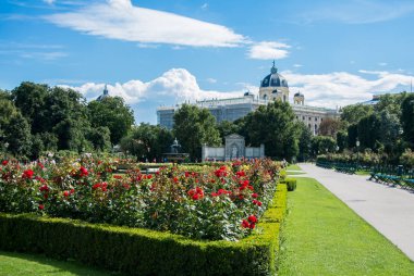 Bir görünümü Volksgarten Parkı önünde Hofburg, Viyana, Avusturya çiçekli kırmızı Güllü.