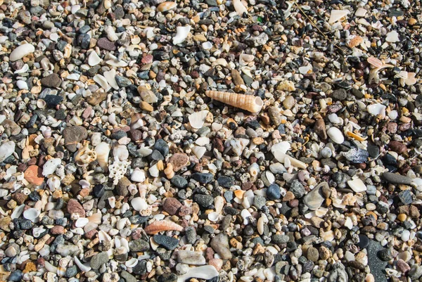 Close-up van strand met kleine steentjes, zand en schelpen in Malaga, Andalusie, Spanje. — Stockfoto