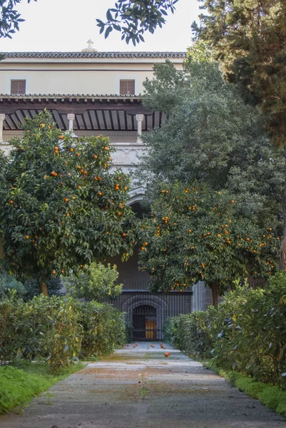 Ein Hof der Primatenkathedrale der Heiligen Maria von Toledo mit einem Garten von Orangenbäumen, Toren und einem Fußweg, castilla-la mancha, Spanien. — Stockfoto