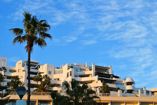 Вид на курорт, спираючись на березі моря з пальмами на Сонячний вечір, Торремолінос, Коста дель Соль, Андалусия, Іспанія. — стокове фото