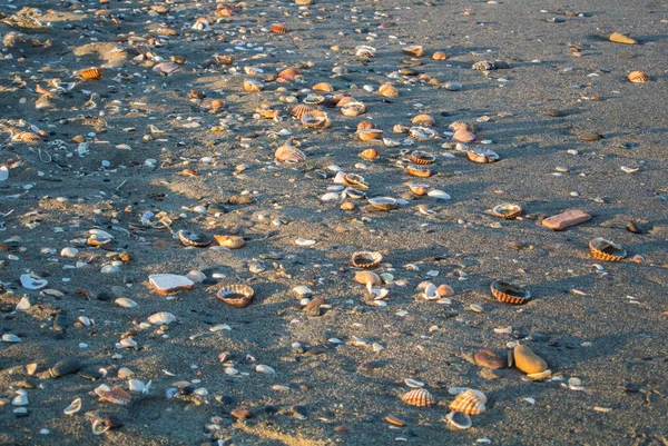 Zamknij widok z plaży wieczorem z różnych muszle, kamienie, piasek i długie cienie w Torremolinos, Andaluzja, Południowa Hiszpania. — Zdjęcie stockowe