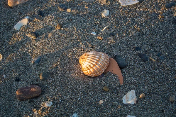 Zamknij widok z plaży wieczorem z różnych muszle, kamienie, piasek i długie cienie w Torremolinos, Andaluzja, Południowa Hiszpania. — Zdjęcie stockowe