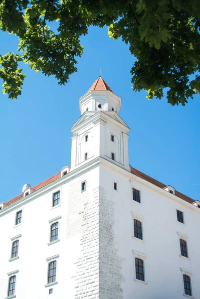 Nahsicht auf den Turm der Burg Bratislava und grüne Ahornblätter, Slowakei. — Stockfoto
