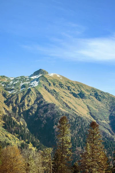 Sonbahar Kafkas Dağları, tepe ve Sochi, Krasnaya Polyana, Rusya yakın sarı ağaç görünümüne.