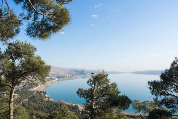 Tbilisi rezervuar şehrin bir görünümüne bir Hill ile pines, Georgia, Kafkas Dağları kaplı.
