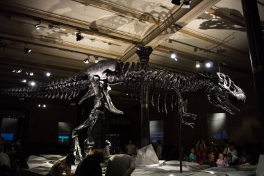 Berlin, Almanya - 2 Ağustos 2016 - A iskelet tyrannosaurus, Doğal Tarih Müzesi (müze fr Naturkunde, Mfn, Naturkundemuseum veya Humboldt Müzesi), Berlin, Almanya.