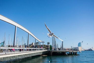 Barcelona, İspanya - 12 Şubat 2014: Bir iskele yat, bir dolgu ve uçan martı Barcelona bağlantı noktası, Catalonia, İspanya ile bir görünüme.
