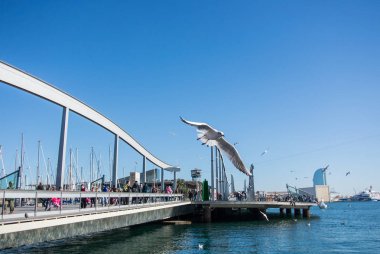 Barcelona, İspanya - 12 Şubat 2014: Bir iskele yat, bir dolgu ve uçan martı Barcelona bağlantı noktası, Catalonia, İspanya ile bir görünüme.