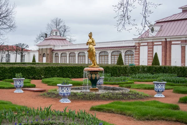 Peterhof, russland - 10. mai 2015: ein goldener brunnen im park, herbstlicher bewölkter tag. — Stockfoto