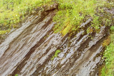Kesik kaya doku ve yeşil alp çim üstünde dağlar doğal Park, Romanya.