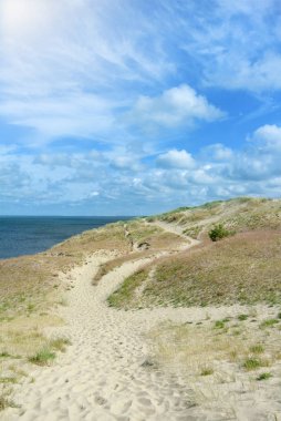 Güzel kumulları bir kuru ot ve bir gün güneşli yaz, Nida, Litvanya arka plan mavi Baltık denizde yolu ile.