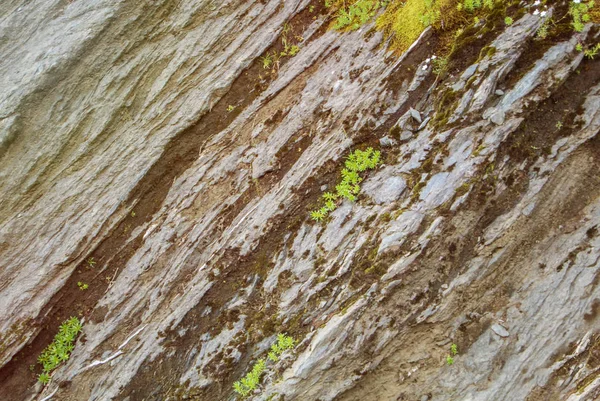 Kesik kaya doku ve yeşil alp çim üstünde dağlar doğal Park, Romanya.