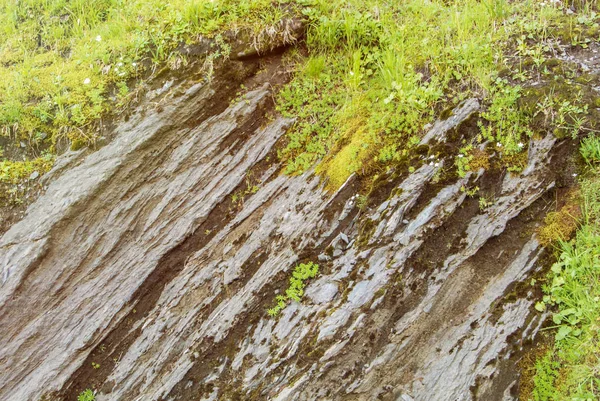 Kesik kaya doku ve yeşil alp çim üstünde dağlar doğal Park, Romanya.