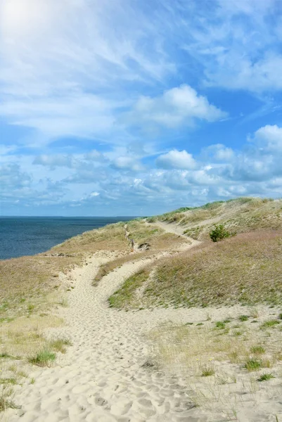 Güzel kumulları bir kuru ot ve bir gün güneşli yaz, Nida, Litvanya arka plan mavi Baltık denizde yolu ile.