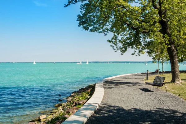 Udsigt over Balaton sø med hvide lystbåde i horisonten og træ - Stock-foto