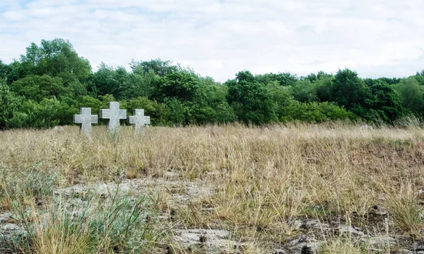 Вид на старые каменные кресты и деревья в сухой осенней траве на — стоковое фото