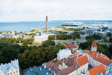 Tallinn, Estonya - 22 Temmuz 2015: Talli hava panoramik manzaralı