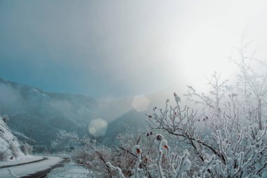 Dikkat işaretleri olan tehlikeli kış serpantin yol kaplı 