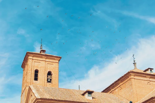 A planty of pigeons flying over the roof of a bell tower of an a — Stock Photo, Image